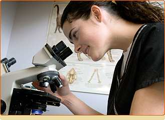 Срок получения результатов анализа - от одного до нескольких дней, в зависимости от видов исследования