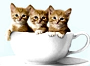 bannernoe menu akusherstvo i ginekologiya