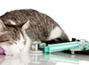 bannernoe menu anesteziolog