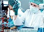 bannernoe menu laboratoriya