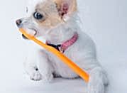 bannernoe menu stomatologiya