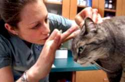 Ветеринарная   дерматология  - раздел ветеринарии, который изучает морфологию и физиологию  кожи и её производных, заболеваний кожи, разрабатывает методы их диагностики, лечения и профилактики