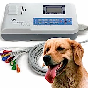 Также важно регулярное проведение ЭКГ для животных пожилого возраста