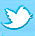 icon twitter