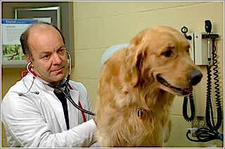 Главный принцип работы с такими пациентами - комплексный подход к проблеме