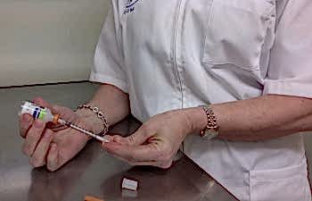 Первая вакцинация производится с выездом ветврача на дом, когда щенок достигает полутора или двухмесячного возраста