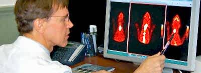 Диагностика и лечение болезней эндокринных органов требуют от ветеринарного специалиста квалифицированного подхода и определенных навыков