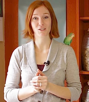 Болезни волнистых попугаев и их лечение ветеринаром орнитологом