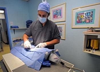 Сам процесс стерилизации может длиться до 50 минут. После чего, животное выходит из-под наркоза. А срок реабилитации занимает до 2 недель. 