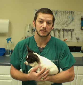 Составить первичную картину и проанализировать степень тяжести заболевания, поставить предварительный диагноз помогают измерительные методы диагностики