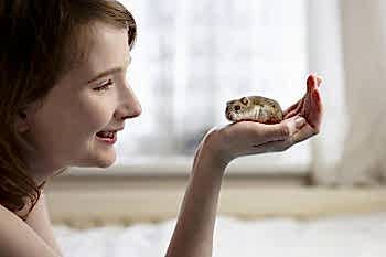 Лечение декоративных (домашних) мышей ветеринарным врачом ратологом