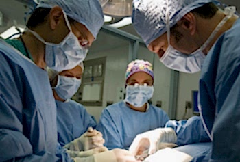 На сегодняшний день ветеринарная хирургия зафиксировала, что каждый третий питомец умирает от рака