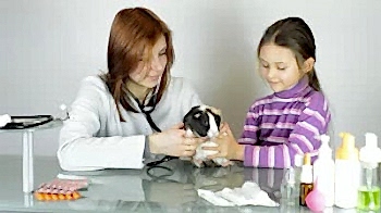 Ратолог - Это ветеринарный врач, который занимается лечением грызунов