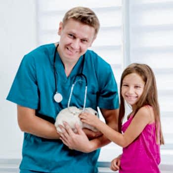 Геморрагическая болезнь кроликов вирусного происхождения - остро протекающее заболевание с признаками геморрагического диатеза в органах