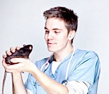 Чаще всего появляются болезни грызунов, которые становятся причиной нарушения правил ухода за ними, неправильного и несбалансированного кормления