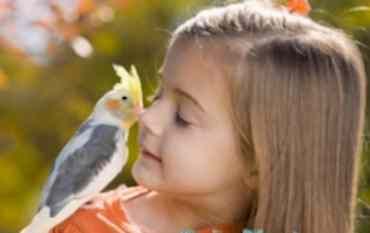 При любом подозрении на заболевание кошки или собаки скорая ветеринарная помощь позволит своевременно определить проблему и начать необходимое лечение