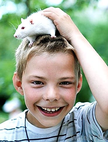 Вирусные зооантропонозы особо коварны, поскольку инкубационный период некоторых вирусных болезней может длиться несколько недель, а вирус в это время активно разрушает организм