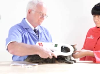 Электронная идентификация (чипирование животных) позволяет вывозить питомца за границу, а также найти его в случае потери, кражи или подмены