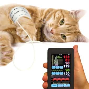 Из этого следует, что тонометрия - это неотъемлемая часть осмотра у ветеринара и важный показатель при диагностике и профилактике заболеваний почти всех органов