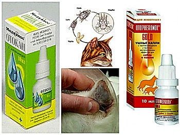 Чаще всего в продаже можно приобрести препараты старого поколения, они тоже пригодны к применению, однако, нужно помнить, что свое основное действие они оказывают на взрослых особей и не влияют на кладки яиц