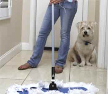 Причины по которым собака писает и гадит дома