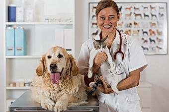 При малейших отклонениях в поведении или во внешнем виде вашего питомца стоит проконсультироваться у ветврача