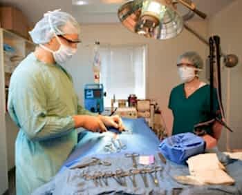 ХИРУРГИЯ-основное направление работы нашей ветеринарной помощи