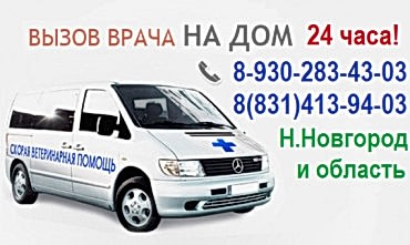 Только квалифицированная помощь