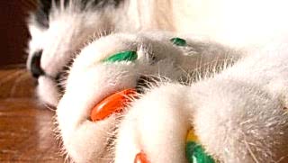 Этот продукт сделан для всяких размеров когтей, и вдобавок в различных цветах.