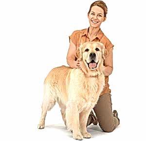 Обычно, мочекаменная болезнь у собак лечение имеет сугубо индивидуальное. Многое зависит от состава камней.