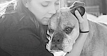 Перед тем как усыпить собаку, ветеринар проводит ее осмотр. Ведь необходимо подтвердить точность смертельного диагноза.