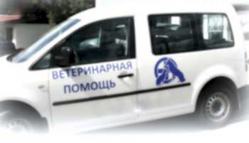 Для специалистов, работающих в центре важен каждый пациент. 