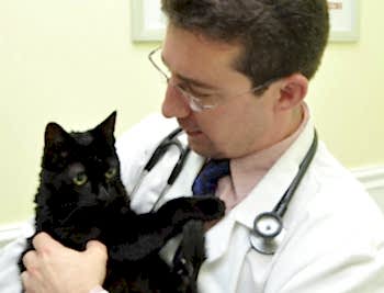 Сергеев Михаил Евгеньевич