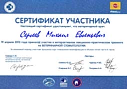 Sergeev Mihail Evgenevich stomatolog 2 2013