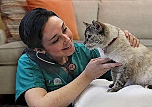 Staroverova Irina Vladimirovna