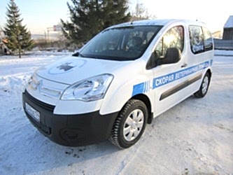 Автомобиль, на котором будет осуществляется транспортировка умерших животных, должен соответствовать всем эпидемиологическим нормативам